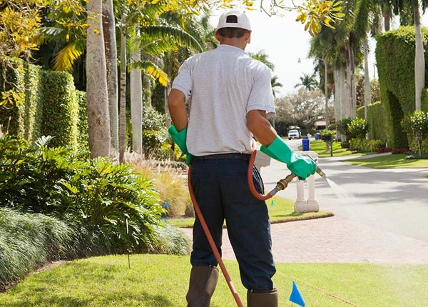 About Garrison MO Pest Control